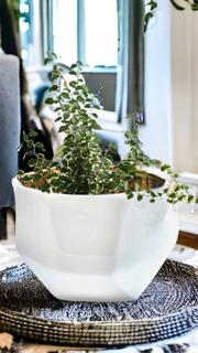 Handmade Elegant White & Gold Ceramic Planter/Pot - Stylish and Versatile Home Decor